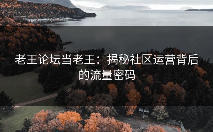 老王论坛当老王:揭秘社区运营背后的流量密码
