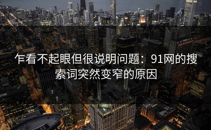 乍看不起眼但很说明问题:91网的搜索词突然变窄的原因 乍看不起眼但很说明问题:91网的搜索词突然变窄的原因
